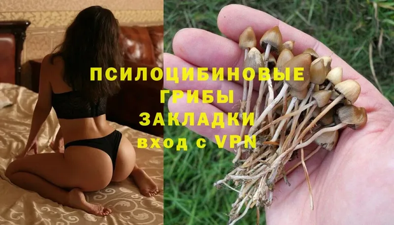 Галлюциногенные грибы GOLDEN TEACHER  купить наркотик  Белая Калитва 